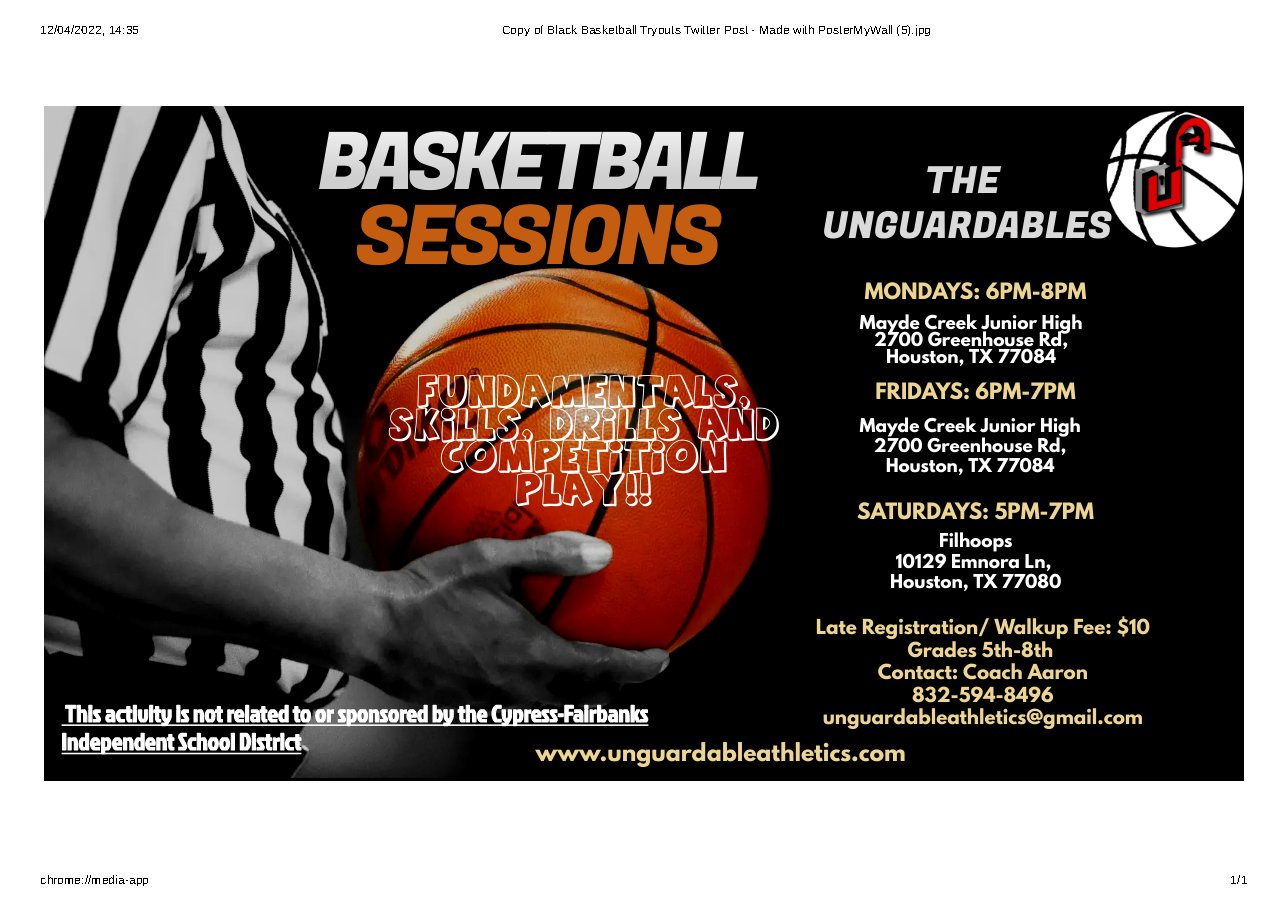 The unguardables basketball sessions